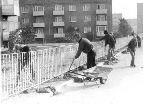 historisches Foto WG Elbstrom Männer bauen einen Zaun, im Hintergrund steht ein Wohnblock